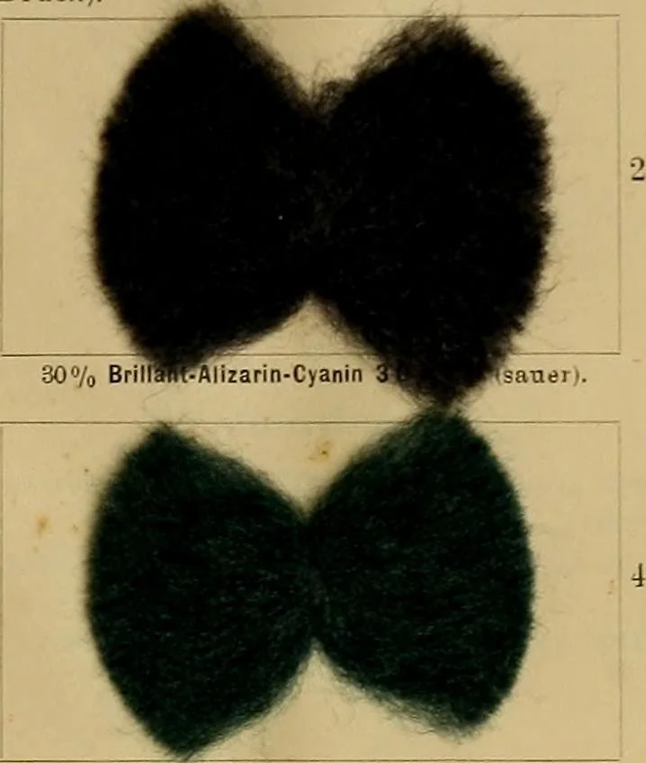An illustration from Die Biezenfarbstoffe der Fabriken vorm. Friedr. Bayer & Co., Elberfeld, auf dem Gebiet der Fruckerei und Färberei, 1901, leaf 313