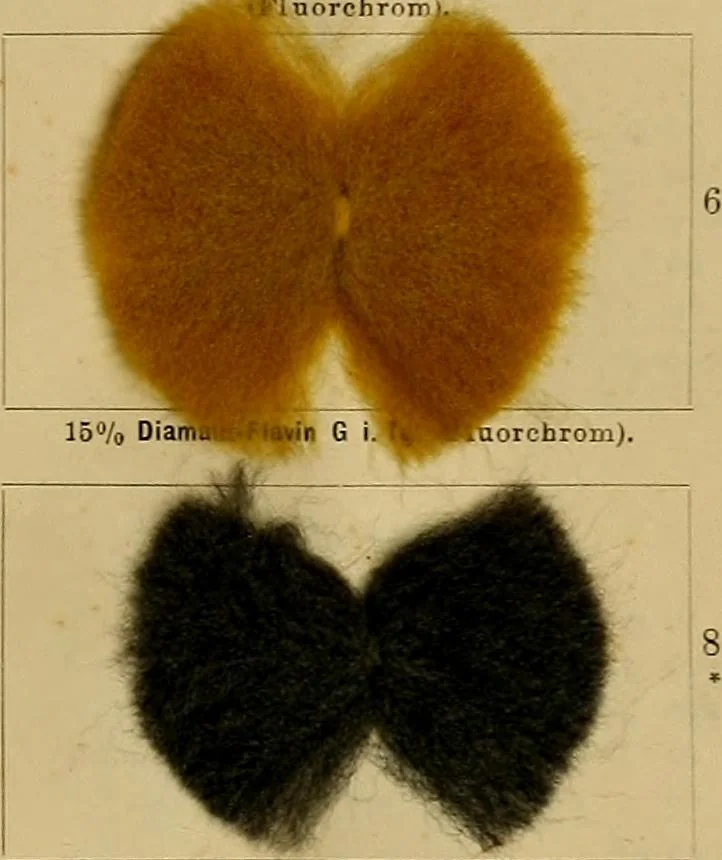 An illustration from Die Biezenfarbstoffe der Fabriken vorm. Friedr. Bayer & Co., Elberfeld, auf dem Gebiet der Fruckerei und Färberei, 1901, leaf 313