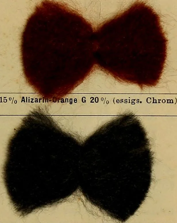An illustration from Die Biezenfarbstoffe der Fabriken vorm. Friedr. Bayer & Co., Elberfeld, auf dem Gebiet der Fruckerei und Färberei, 1901, leaf 315