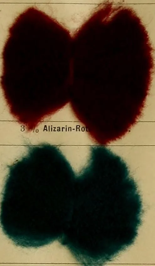 An illustration from Die Biezenfarbstoffe der Fabriken vorm. Friedr. Bayer & Co., Elberfeld, auf dem Gebiet der Fruckerei und Färberei, 1901, leaf 323
