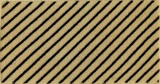 An illustration from Die Biezenfarbstoffe der Fabriken vorm. Friedr. Bayer & Co., Elberfeld, auf dem Gebiet der Fruckerei und Färberei, 1901, leaf 345