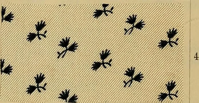 An illustration from Die Biezenfarbstoffe der Fabriken vorm. Friedr. Bayer & Co., Elberfeld, auf dem Gebiet der Fruckerei und Färberei, 1901, leaf 353