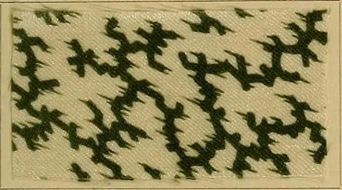 An illustration from Die Biezenfarbstoffe der Fabriken vorm. Friedr. Bayer & Co., Elberfeld, auf dem Gebiet der Fruckerei und Färberei, 1901, leaf 355