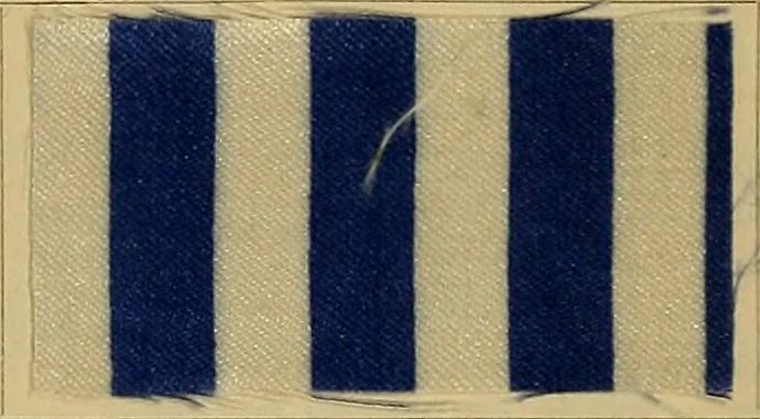 An illustration from Die Biezenfarbstoffe der Fabriken vorm. Friedr. Bayer & Co., Elberfeld, auf dem Gebiet der Fruckerei und Färberei, 1901, leaf 355