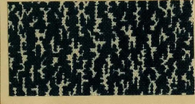 An illustration from Die Biezenfarbstoffe der Fabriken vorm. Friedr. Bayer & Co., Elberfeld, auf dem Gebiet der Fruckerei und Färberei, 1901, leaf 359