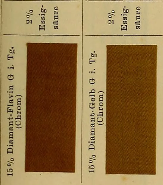 An illustration from Die Biezenfarbstoffe der Fabriken vorm. Friedr. Bayer & Co., Elberfeld, auf dem Gebiet der Fruckerei und Färberei, 1901, leaf 367