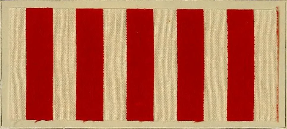 An illustration from Die Biezenfarbstoffe der Fabriken vorm. Friedr. Bayer & Co., Elberfeld, auf dem Gebiet der Fruckerei und Färberei, 1901, leaf 76