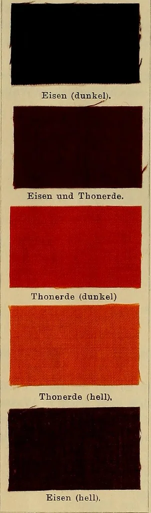 An illustration from Die Biezenfarbstoffe der Fabriken vorm. Friedr. Bayer & Co., Elberfeld, auf dem Gebiet der Fruckerei und Färberei, 1901, leaf 86