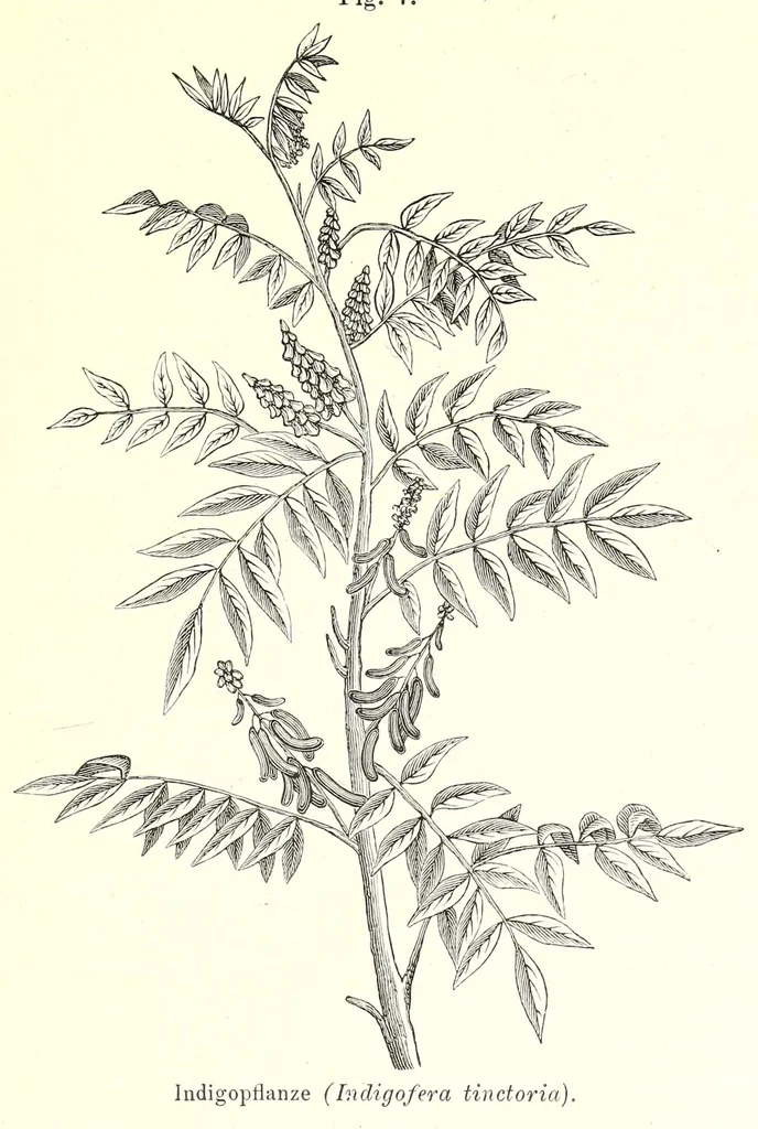 An illustration from Die Chemie des Steinkohlentheers mit besonderer berücksichtigung der künstlichen organischen Farbstoffe, 1900, leaf 379