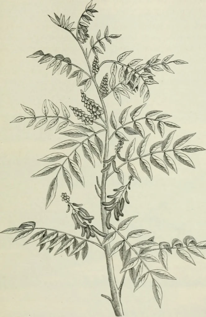 An illustration from Die Chemie des Steinkohlentheers mit besonderer Berücksichtigung der künstlichen organischen Farbstoffe, 1900, leaf 378