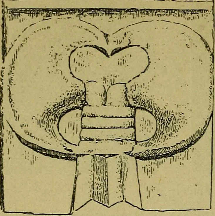 An illustration from Die dekorative kunst des altertums; eine populäre darstellung, 1914, leaf 20