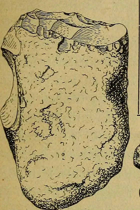 An illustration from Die dekorative kunst des altertums; eine populäre darstellung, 1914, leaf 7