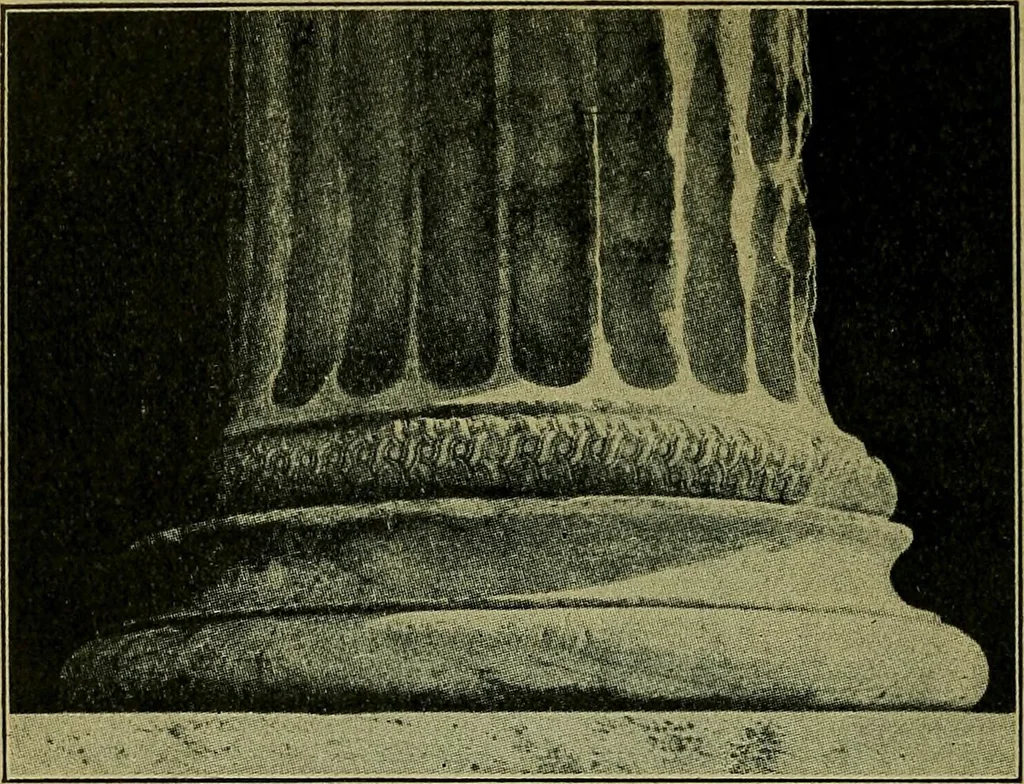 An illustration from Die dekorative kunst des altertums; eine populäre darstellung, 1914, leaf 80