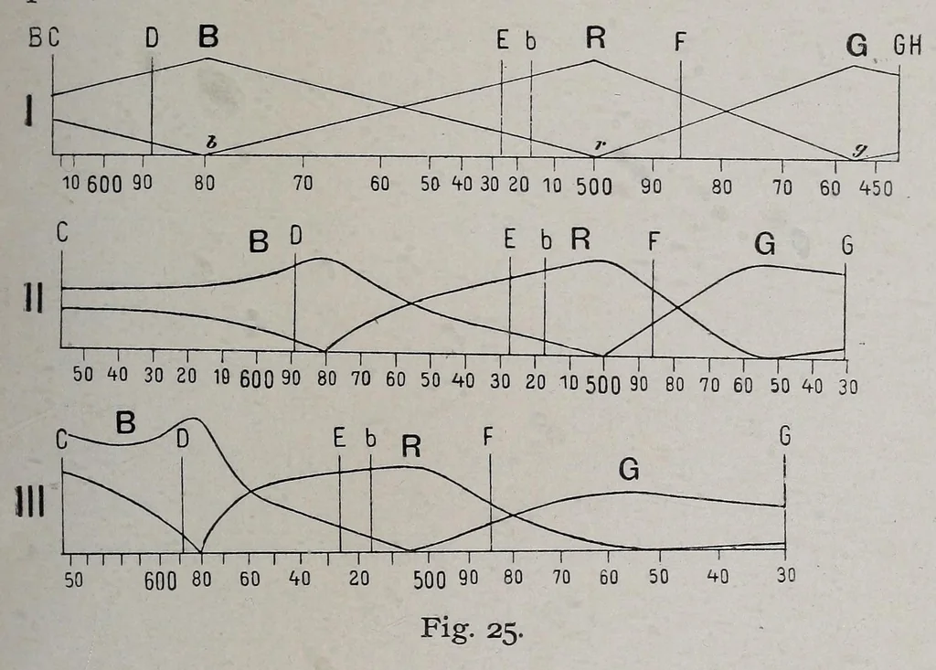 An illustration from Die Dreifarbenphotographie : mit besonderer Berücksichtigung des Dreifarbendruckes und der photographischen Pigmentbilder in natürlichen Farben, 1902, leaf 113