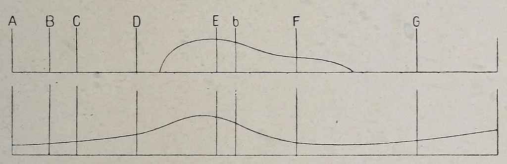 An illustration from Die Dreifarbenphotographie : mit besonderer Berücksichtigung des Dreifarbendruckes und der photographischen Pigmentbilder in natürlichen Farben, 1902, leaf 55