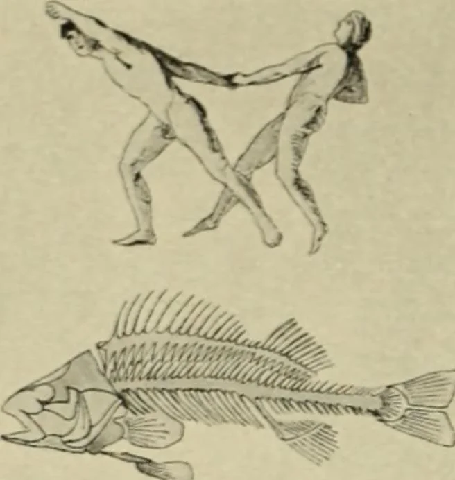 An illustration from Die dynamische Empfindung in der angewandten Kunst : Ein Beitrag zur künstlerischen Gestaltung der Technik, 1917, leaf 39