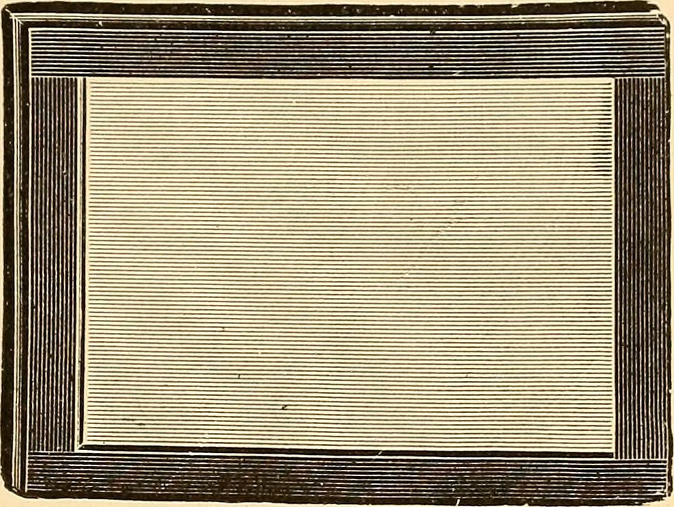An illustration from Die Einrichtungen zur Erzeugung der Roentgenstrahlen und ihr Gebrauch : gemeinfasslich dargestellt insbesondere auch für Ärzte und Kliniken, 1899, leaf 119