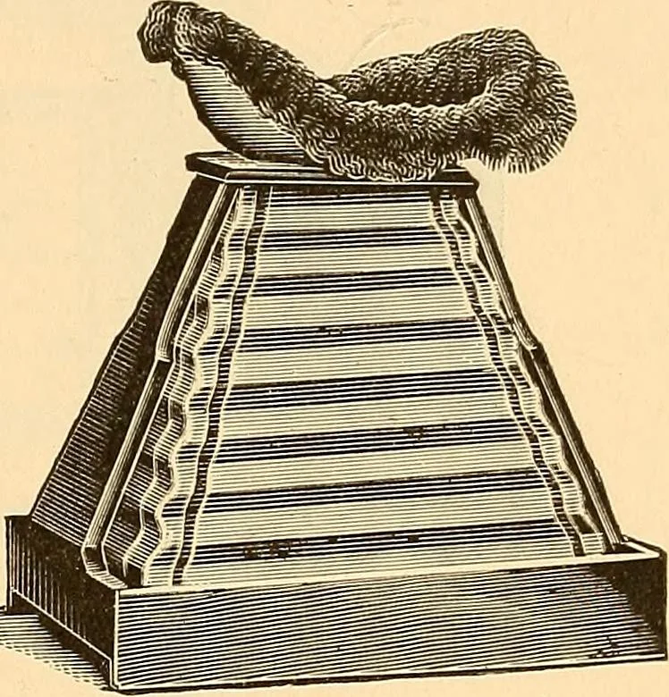 An illustration from Die Einrichtungen zur Erzeugung der Roentgenstrahlen und ihr Gebrauch : gemeinfasslich dargestellt insbesondere auch für Ärzte und Kliniken, 1899, leaf 123