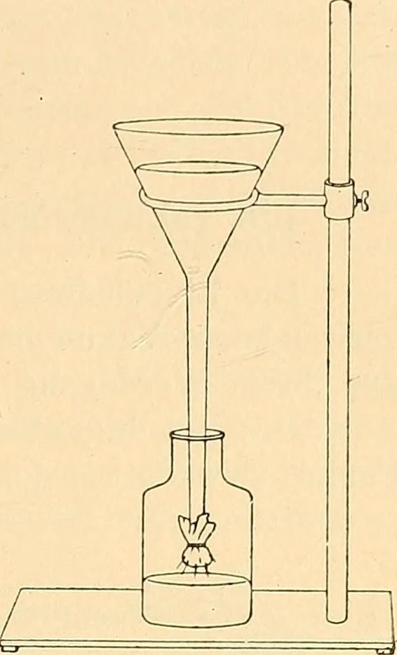 An illustration from Die Einrichtungen zur Erzeugung der Roentgenstrahlen und ihr Gebrauch : gemeinfasslich dargestellt insbesondere auch für Ärzte und Kliniken, 1899, leaf 87
