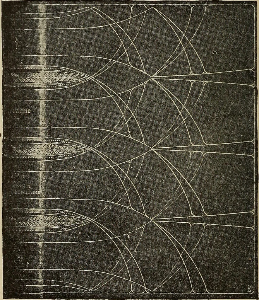 An illustration from Die entwicklung der modernen buchkunst in Deutschland;, 1901, leaf 188