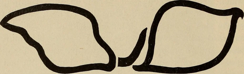 An illustration from Die entwicklung der modernen buchkunst in Deutschland;, 1901, leaf 200