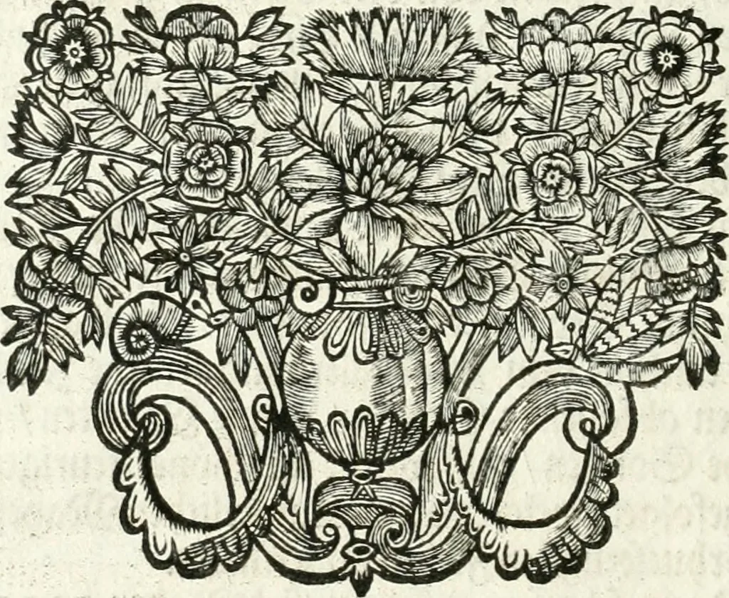 An illustration from Die Fackel des Prometheus : künstliches Lust-Feuer, als beede kayserliche Mayestätten Leopold und Eleonora Magdalena Theresia, nach dero zu Passau gehaltenem hochzeitlichen Beylager zu Wienn eingezogen, vor dem Burg-Thor gehalten, 1677, leaf 17