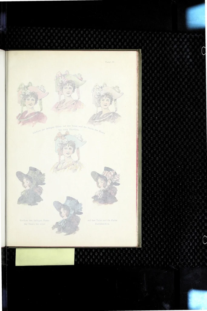 An illustration from Die Farbenharmonie in der Damen-Toilette, 1897, leaf 81