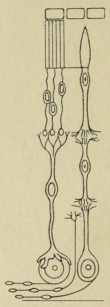 An illustration from Die Farbenlehre, 1918, leaf 26