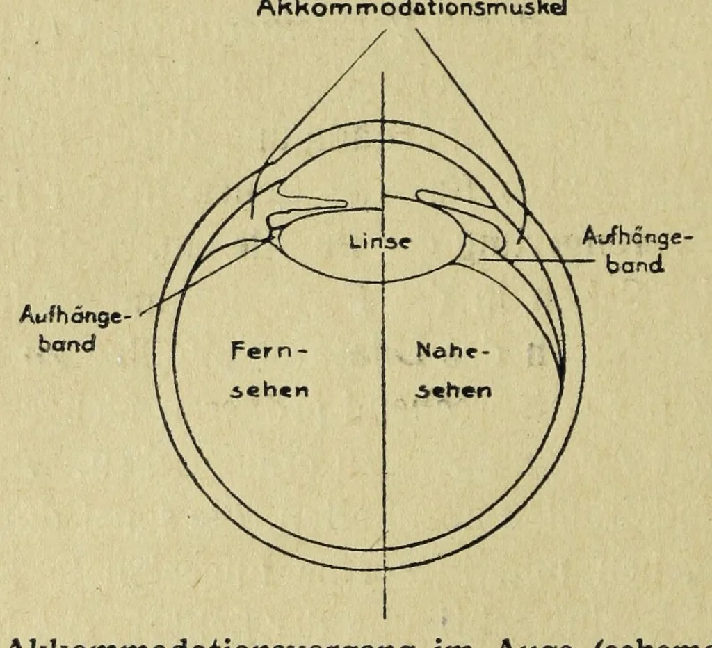 An illustration from Die Farbenlehre, 1918, leaf 38