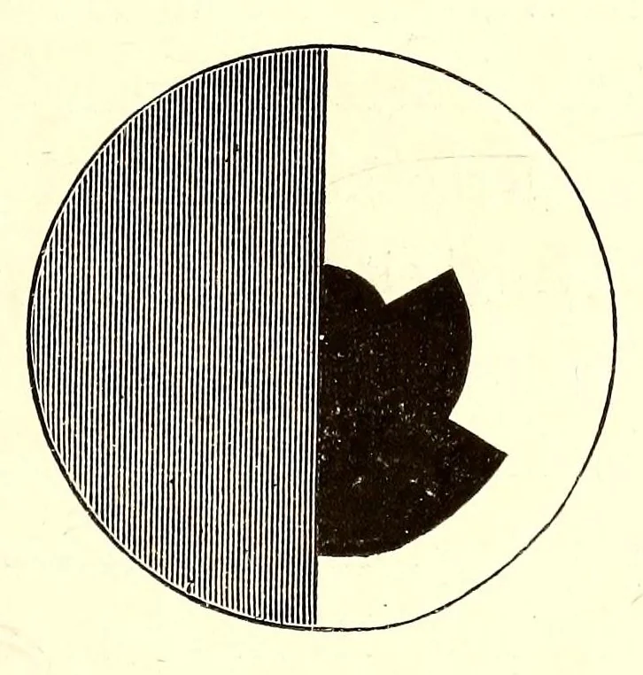 An illustration from Die Farbenlehre im hinblick auf Kunst und Kunstgewerbe, 1874, leaf 163