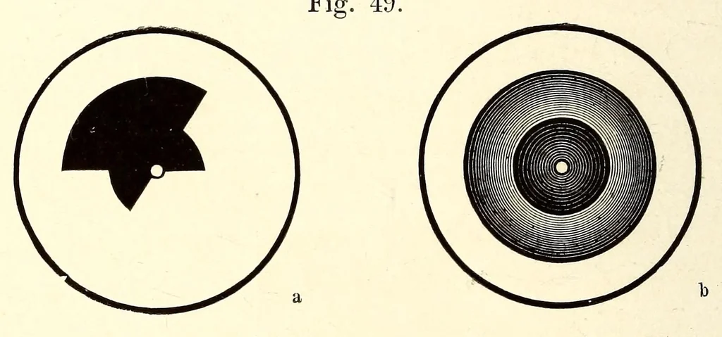 An illustration from Die Farbenlehre im hinblick auf Kunst und Kunstgewerbe, 1874, leaf 198