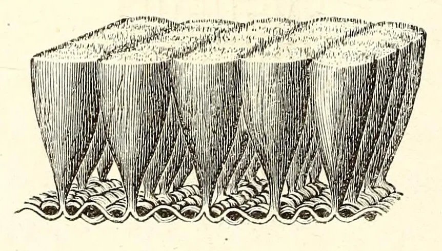 An illustration from Die Farbenlehre im hinblick auf Kunst und Kunstgewerbe, 1874, leaf 94