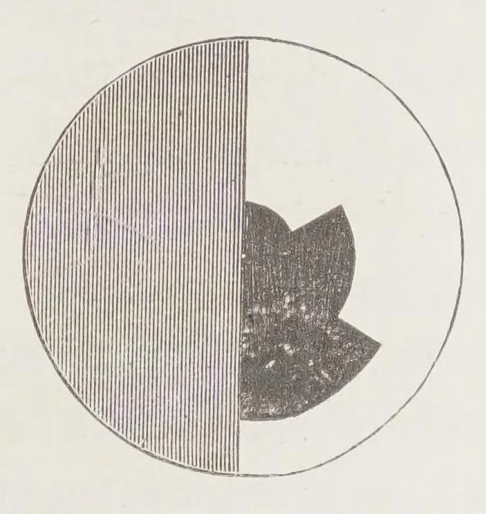 An illustration from Die Farbenlehre im hinblick auf Kunst und Kunstgewerbe, 1874, leaf 165