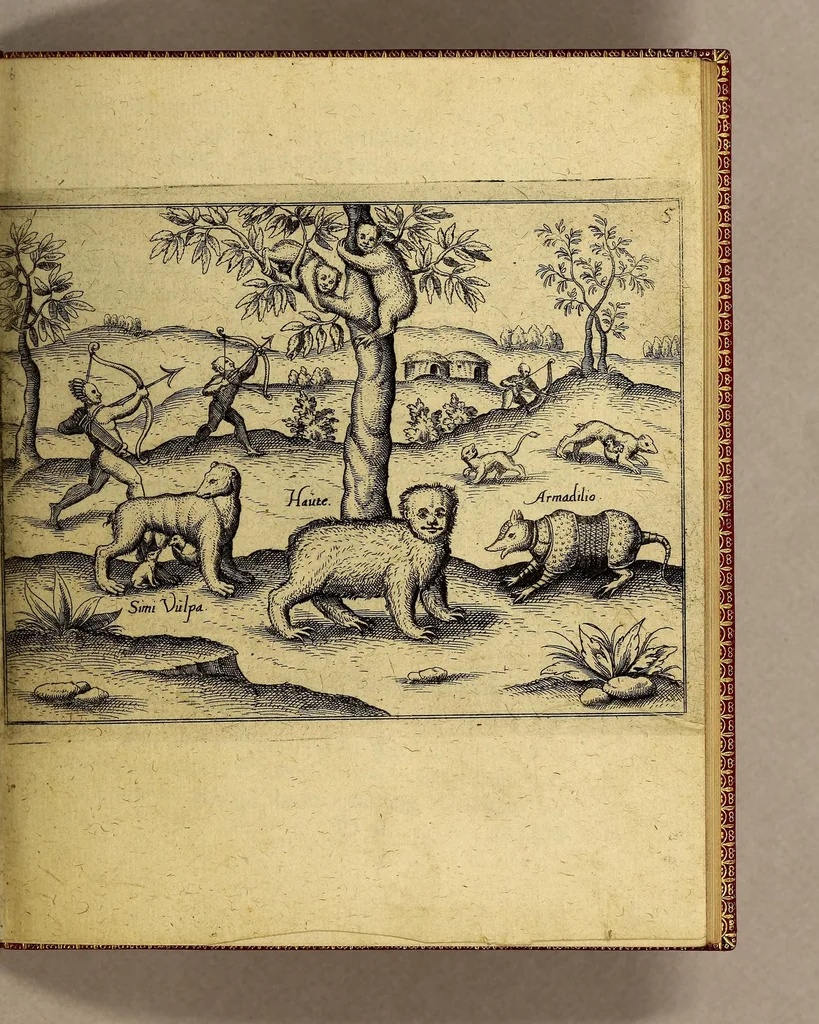 An illustration from Die fünffte kurtze wunderbare Beschreibung, dess Goldreichen Königreichs Guianae in America oder neuen Welt, vnter der Linea Aequinoctiali gelegen: so neulich Anno 1594. 1595. vnd 1596. von dem wolgebornen Herrn, Herrn Walthero Ralegh einem englischen Ritter, besucht worden: : erstlich auss befehl seiner Gnaden in zweyen Büchlein beschrieben, darauss Jodocus Hondius, ein schöne Land Tafel, mit einer niderländischen Erklärung gemacht. Jetzt aber ins Hochteutsch gebracht, vnd auss vnterschiedlichen Authoribus erkläret, 1603, leaf 19