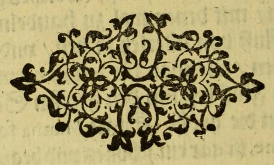 An illustration from Die fünffte kurtze wunderbare Beschreibung, dess Goldreichen Königreichs Guianae in America oder neuen Welt, vnter der Linea Aequinoctiali gelegen: so neulich Anno 1594. 1595. vnd 1596. von dem wolgebornen Herrn, Herrn Walthero Ralegh einem englischen Ritter, besucht worden: : erstlich auss befehl seiner Gnaden in zweyen Büchlein beschrieben, darauss Jodocus Hondius, ein schöne Land Tafel, mit einer niderländischen Erklärung gemacht. Jetzt aber ins Hochteutsch gebracht, vnd auss vnterschiedlichen Authoribus erkläret, 1603, leaf 22