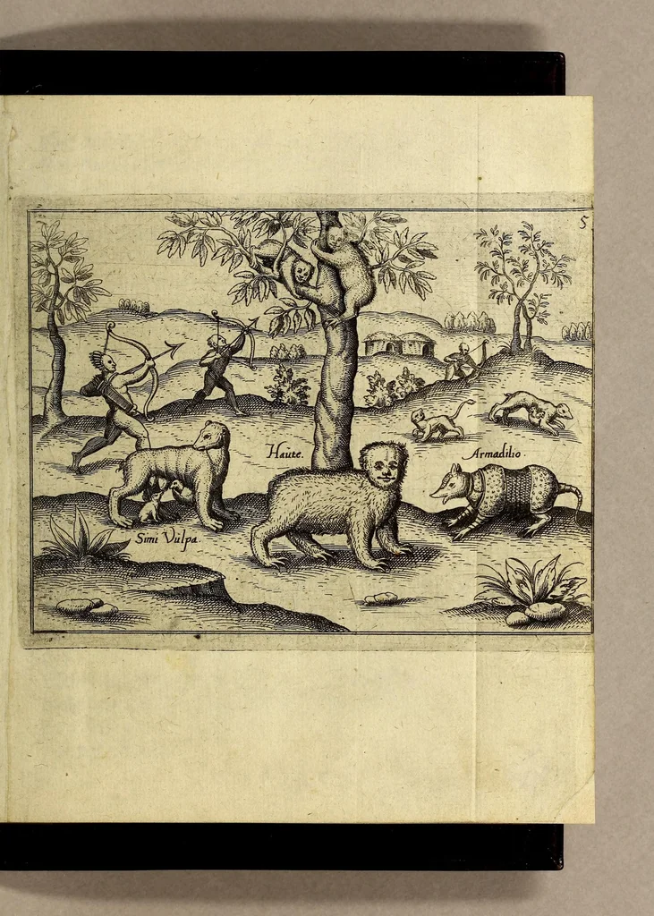 An illustration from Die fünffte kurtze wunderbare Beschreibung, dess Goldreichen Königreichs Guianae in America oder newen Welt, vnter der Linea Aequinoctiali gelegen: so neulich Anno 1594. 1595. vnd 1596. von dem wolgebornen Herrn, Herrn Walthero Ralegh einem englischen Ritter, besucht worden: : erstlich auss befehl seiner Gnaden in zweyen Büchlein beschrieben, darauss Jodocus Hondius, eine schöne Landt Tafel, mit einer niderländischen Erklärung gemacht. Jetzt aber ins Hochteutsch gebracht, vnd auss vnterschiedlichen Authoribus erkläret, 1612, leaf 21