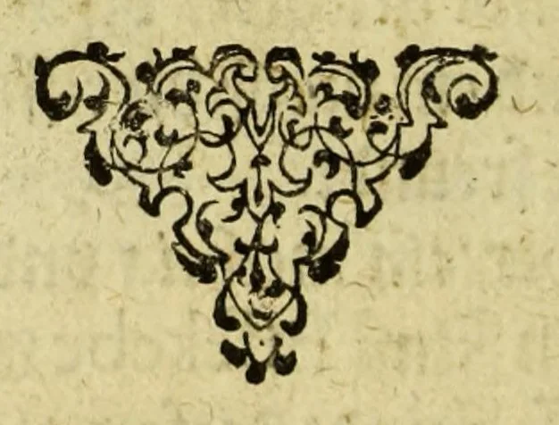 An illustration from Die fünffte kurtze wunderbare Beschreibung, dess Goldreichen Königreichs Guianae in America oder newen Welt, vnter der Linea Aequinoctiali gelegen: so neulich Anno 1594. 1595. vnd 1596. von dem wolgebornen Herrn, Herrn Walthero Ralegh einem englischen Ritter, besucht worden: : erstlich auss befehl seiner Gnaden in zweyen Büchlein beschrieben, darauss Jodocus Hondius, eine schöne Landt Tafel, mit einer niderländischen Erklärung gemacht. Jetzt aber ins Hochteutsch gebracht, vnd auss vnterschiedlichen Authoribus erkläret, 1612, leaf 28