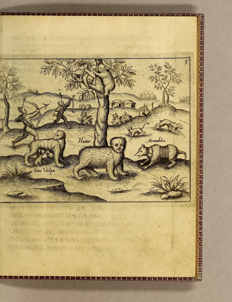 An illustration from Die fünffte kurtze wunderbare Beschreibung, dess Goldreichen Königreichs Guianae in America oder newen Welt, vnter der Linea Aequinoctiali gelegen: so neulich Anno 1594. 1595. vnd 1596. von dem wolgebornen Herrn, Herrn Walthero Ralegh einem englischen Ritter, besucht worden: : erstlich auss befehl seiner Gnaden in zweyen Büchlein beschrieben, darauss Jodocus Hondius, eine schöne Landt Tafel, mit einer niderländischen Erklärung gemacht. Jetzt aber ins Hochteutsch gebracht, vnd auss vnterschiedlichen Authoribus erkläret, 1612, leaf 21
