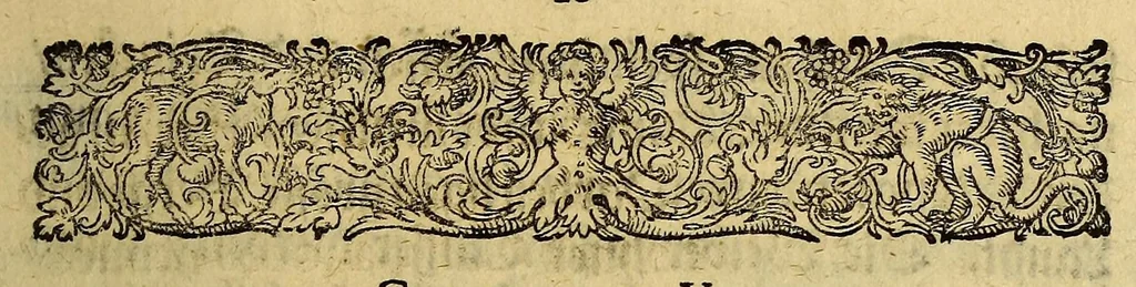 An illustration from Die fünffte kurtze wunderbare Beschreibung, dess Goldreichen Königreichs Guianae in America oder newen Welt, vnter der Linea Aequinoctiali gelegen: so neulich Anno 1594. 1595. vnd 1596. von dem wolgebornen Herrn, Herrn Walthero Ralegh einem englischen Ritter, besucht worden: : erstlich auss befehl seiner Gnaden in zweyen Büchlein beschrieben, darauss Jodocus Hondius, eine schöne Landt Tafel, mit einer niderländischen Erklärung gemacht. Jetzt aber ins Hochteutsch gebracht, vnd auss vnterschiedlichen Authoribus erkläret, 1612, leaf 29