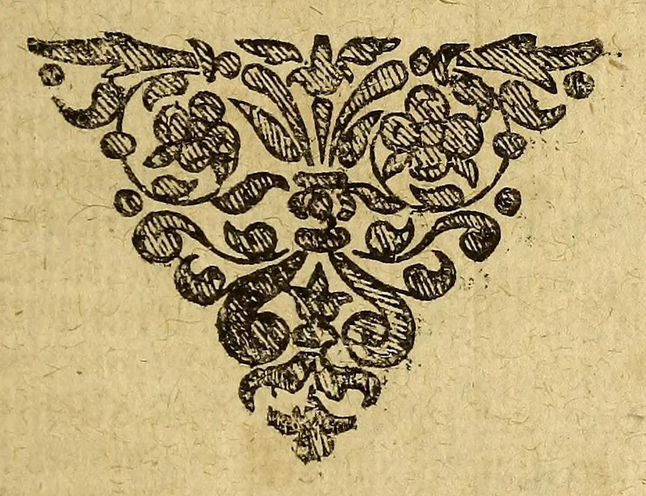 An illustration from Die fünff vnd zweyntzigste Schifffahrt, nach dem Königreich Chili in West-Indien, verrichtet durch Herrn Heinrich Brawern, vnd Herrn Elias Herckemann, im Jahr 1642, vnnd 1643. : Sambt einer Beschreibung der zweyen Insulen Formosa vnd Japan. Mit zugehörigen Kupffer-Taffeln, 1649, leaf 55