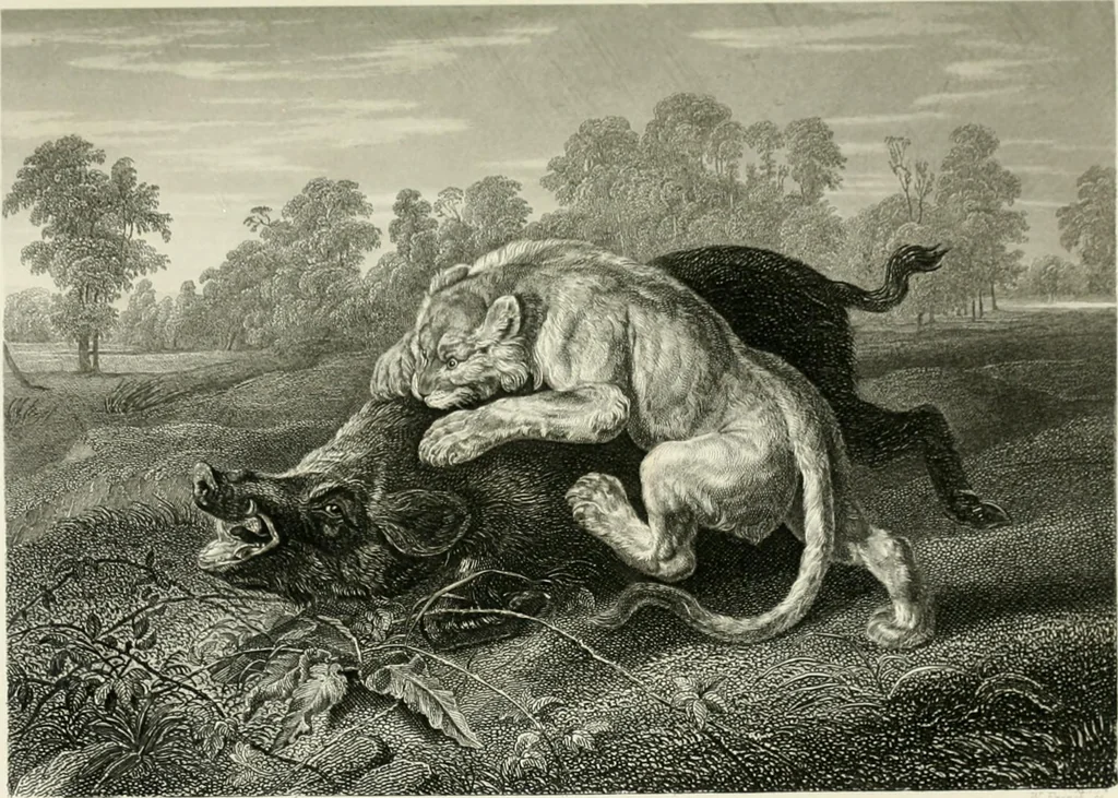 An illustration from Die Gallerien von München : eine Stahlstichsammlung der vorsüglichsten Gemälde der Königl. Pinakothek, der Herzogl. Leuchtenberg'schen und Schleissheimer Gallerien, 1856, leaf 441