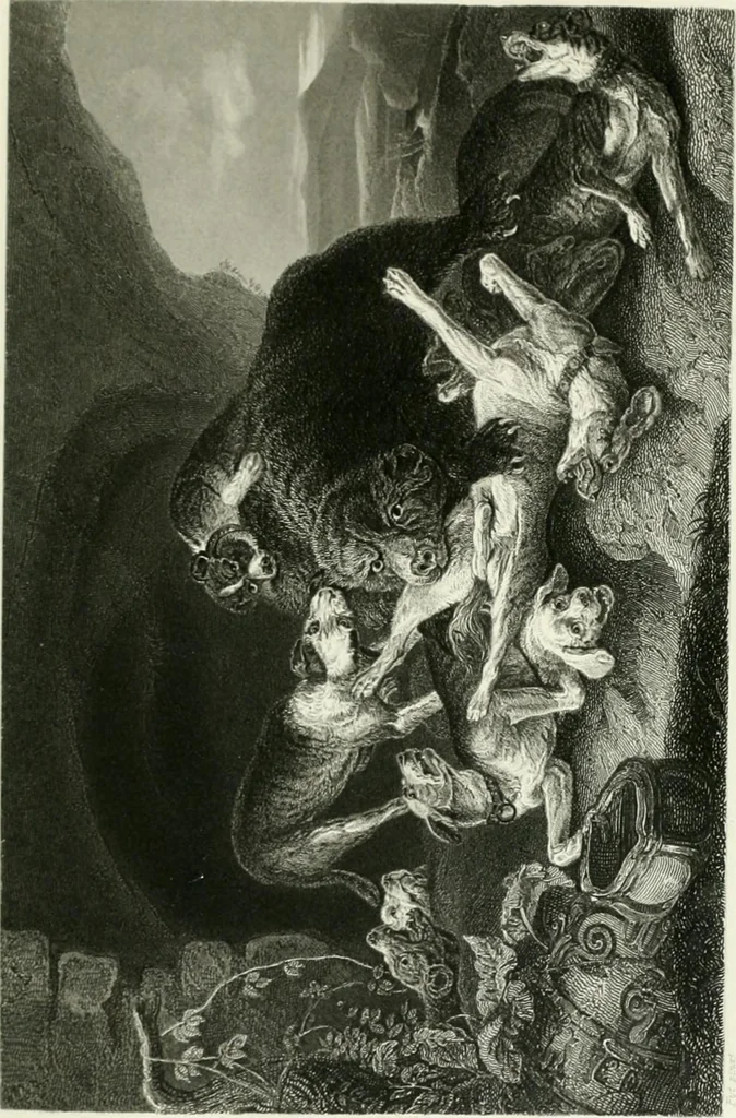 An illustration from Die Gallerien von München : eine Stahlstichsammlung der vorsüglichsten Gemälde der Königl. Pinakothek, der Herzogl. Leuchtenberg'schen und Schleissheimer Gallerien, 1856, leaf 443