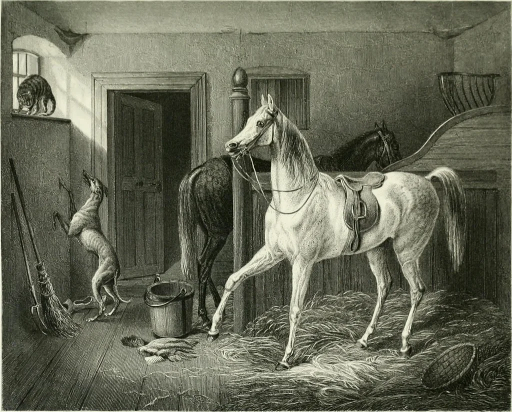 An illustration from Die Gallerien von München : eine Stahlstichsammlung der vorsüglichsten Gemälde der Königl. Pinakothek, der Herzogl. Leuchtenberg'schen und Schleissheimer Gallerien, 1856, leaf 459