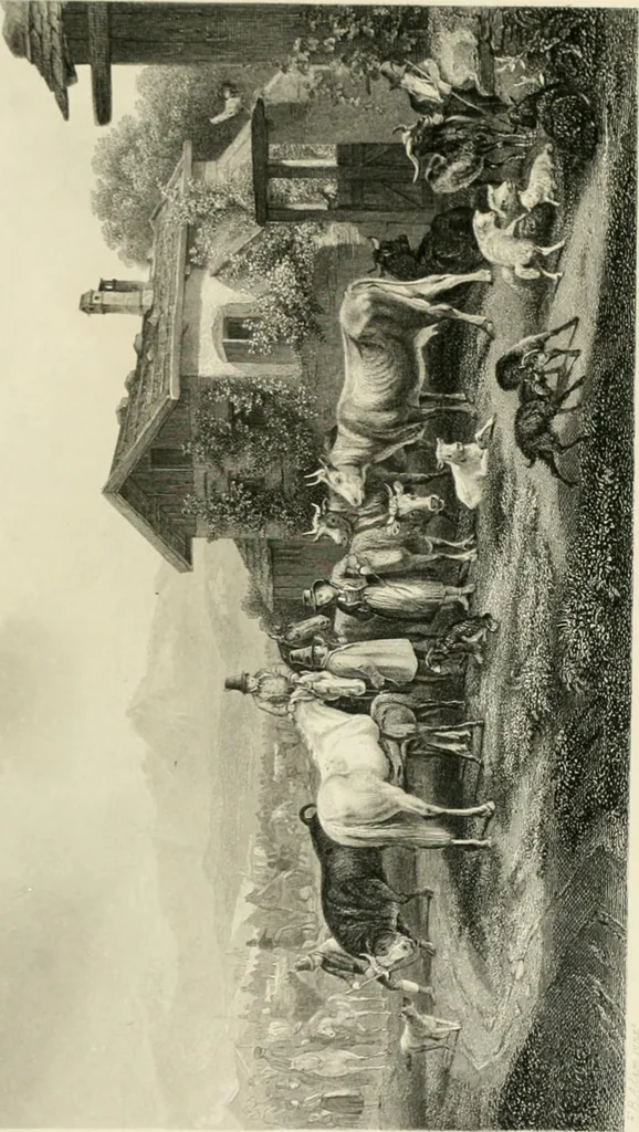 An illustration from Die Gallerien von München : eine Stahlstichsammlung der vorsüglichsten Gemälde der Königl. Pinakothek, der Herzogl. Leuchtenberg'schen und Schleissheimer Gallerien, 1856, leaf 469