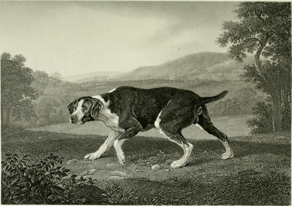 An illustration from Die Gallerien von München : eine Stahlstichsammlung der vorsüglichsten Gemälde der Königl. Pinakothek, der Herzogl. Leuchtenberg'schen und Schleissheimer Gallerien, 1856, leaf 555