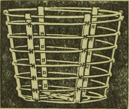 An illustration from Die Gartenkunst, 1899, leaf 11
