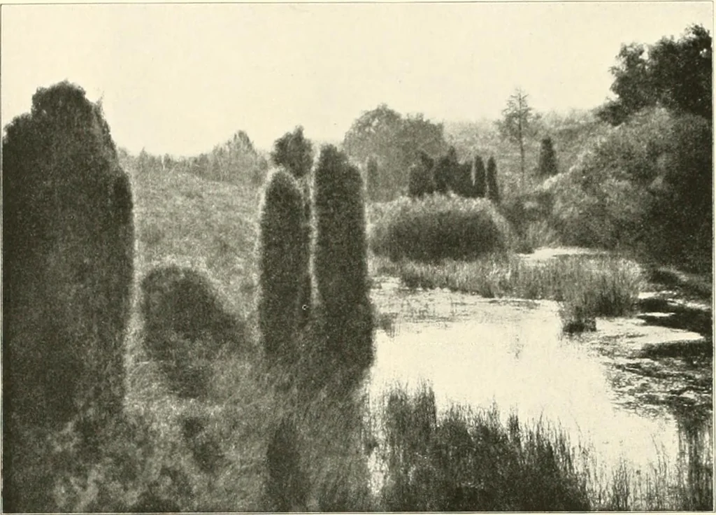 An illustration from Die Gartenkunst, 1899, leaf 117