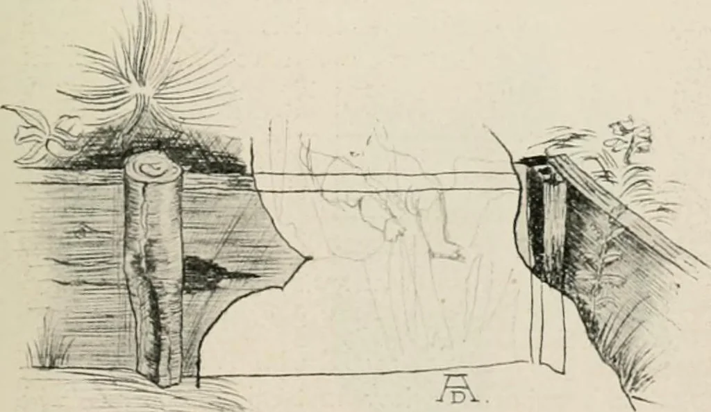 An illustration from Die Gartenkunst, 1899, leaf 126