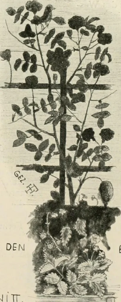 An illustration from Die Gartenkunst, 1899, leaf 128