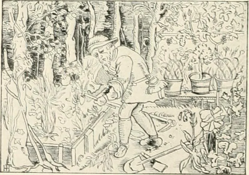 An illustration from Die Gartenkunst, 1899, leaf 129